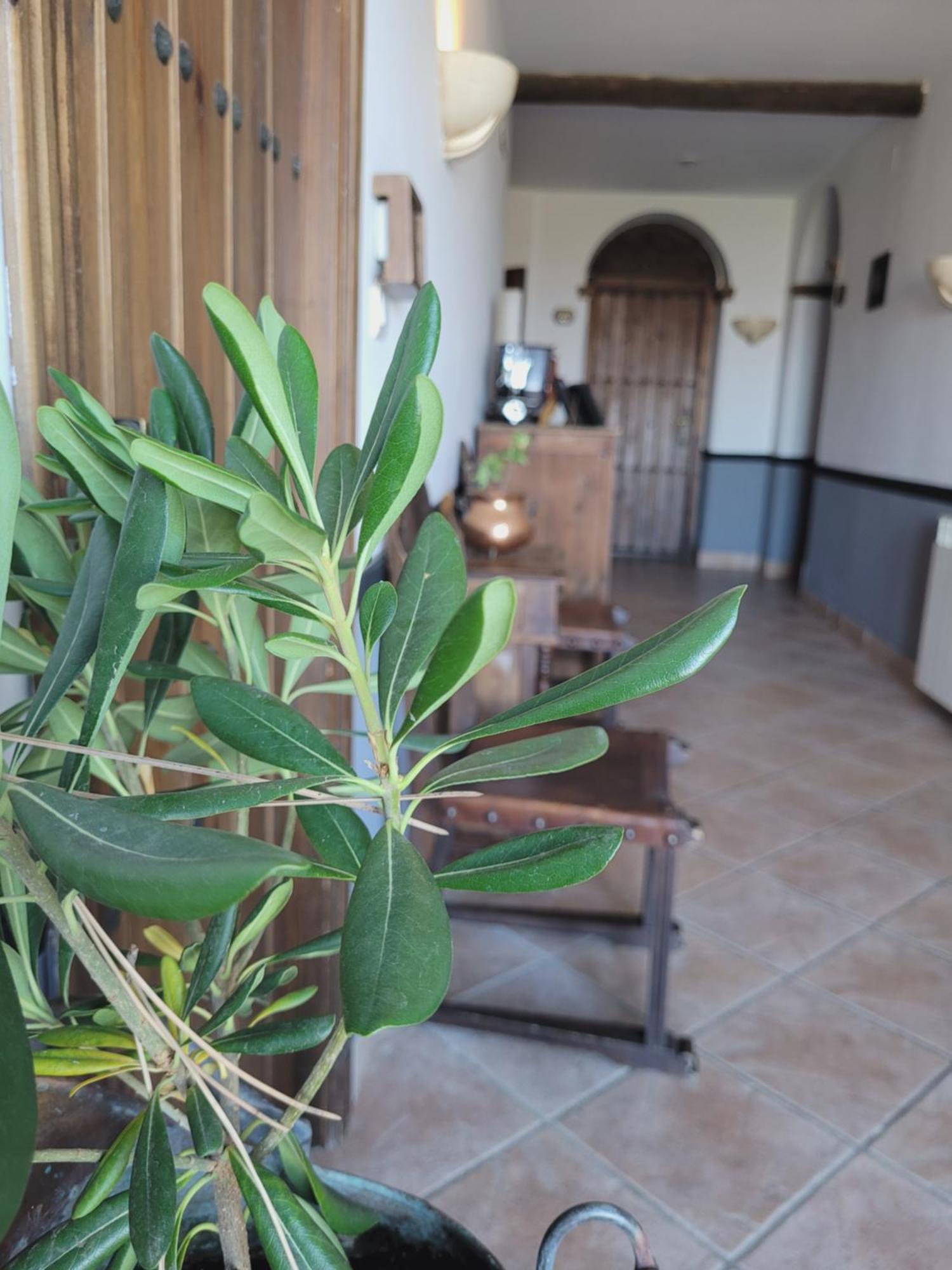 Hotel El Balcon De Las Nieves La Zubia  Dış mekan fotoğraf