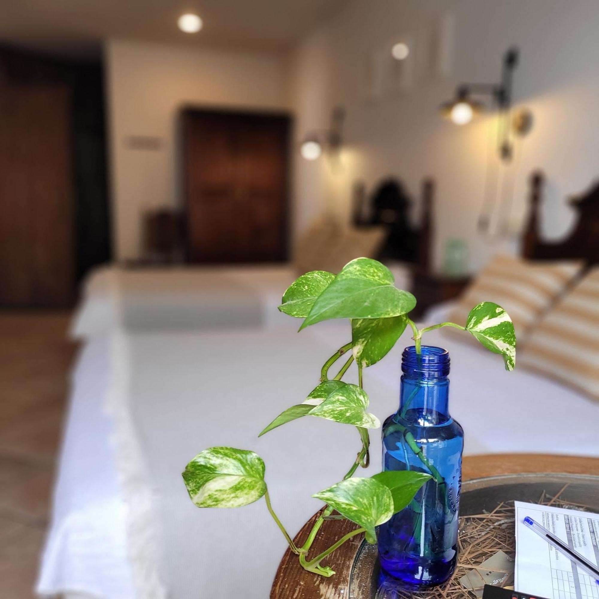 Hotel El Balcon De Las Nieves La Zubia  Dış mekan fotoğraf